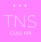 logo tns footer